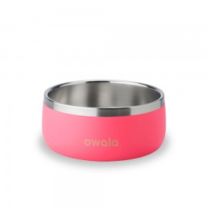 Pet Bowl Owala Pet Bowl Size 3 cups Hyper Flamingo | 4837015-PG
