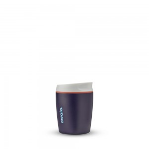 SmoothSip Owala SmoothSip Style Stainless Steel Size 10 oz Coffee Tumbler Telescope Tales | 3420917-UA
